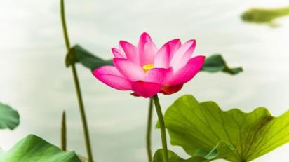 下雨心情说说感悟生活(生活感悟的说说心情句子)