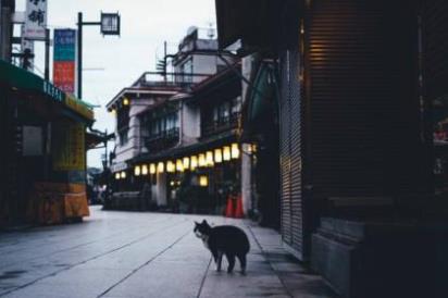 表达一日游的心情(朋友圈旅游心情短语)