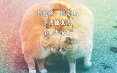 元旦给母校的祝福语(祝愿母校的四字祝福语)