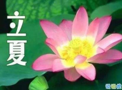 节能低碳环保标语(环保低碳生活口号)