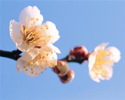 每日一句正能量阳光晚安 正能量晚安励志短句霸气 励志一句话