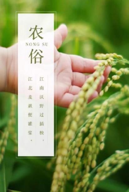 结婚祝福语大全四字(恭喜结婚的祝福语四个字)