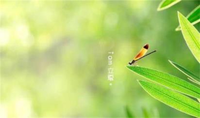 qq春节祝福语(祝你新年快乐家团圆…)